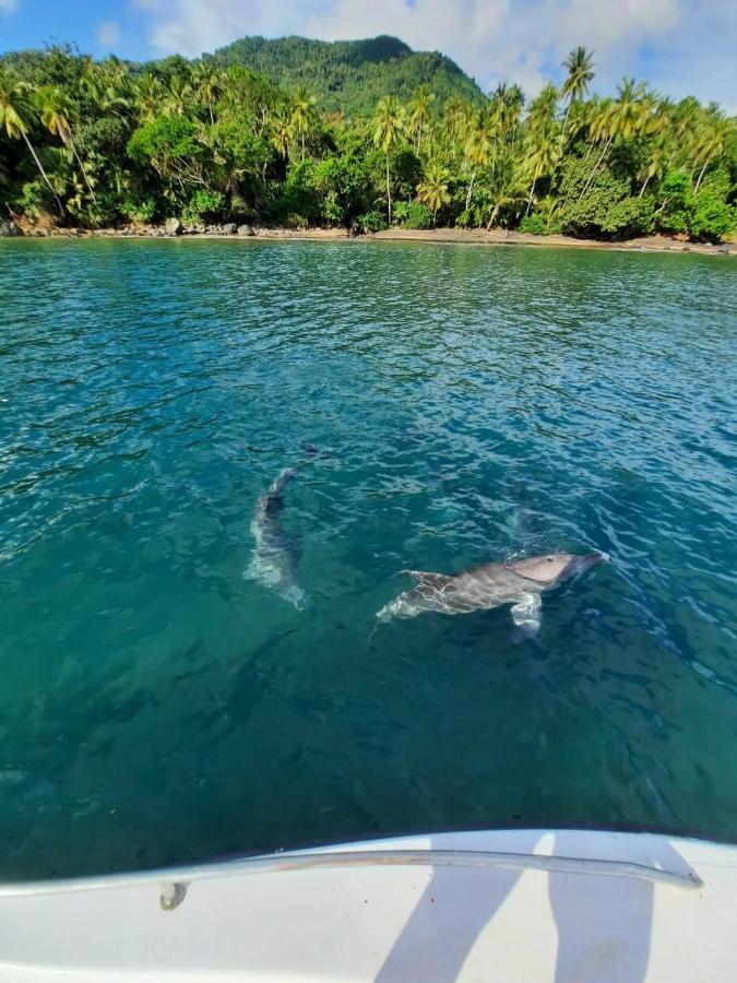 Le Chissioua Hotel Sada Luaran gambar