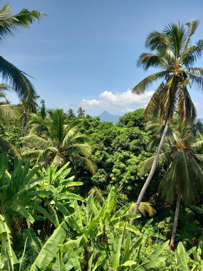 Le Chissioua Hotel Sada Bilik gambar