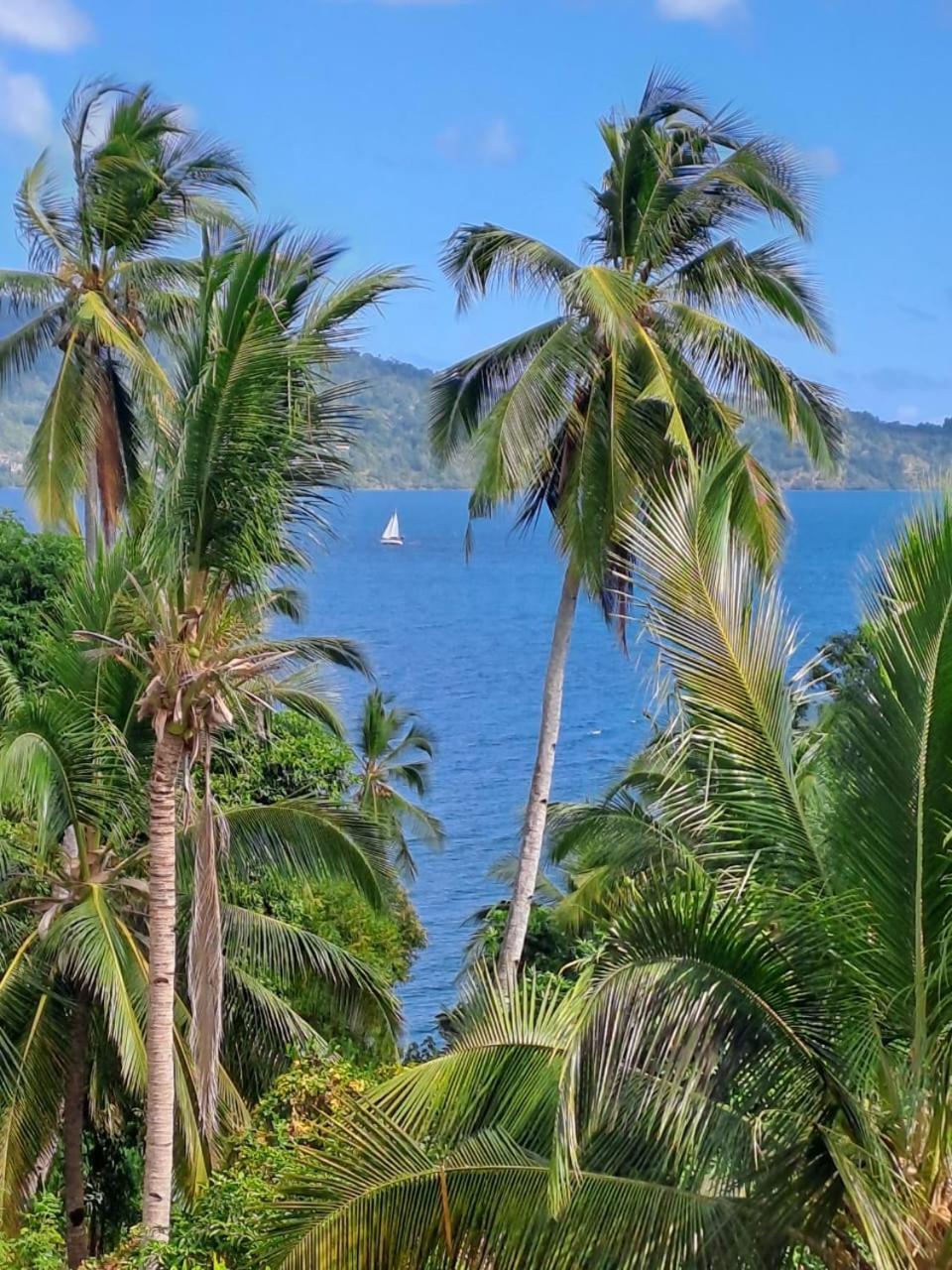 Le Chissioua Hotel Sada Luaran gambar