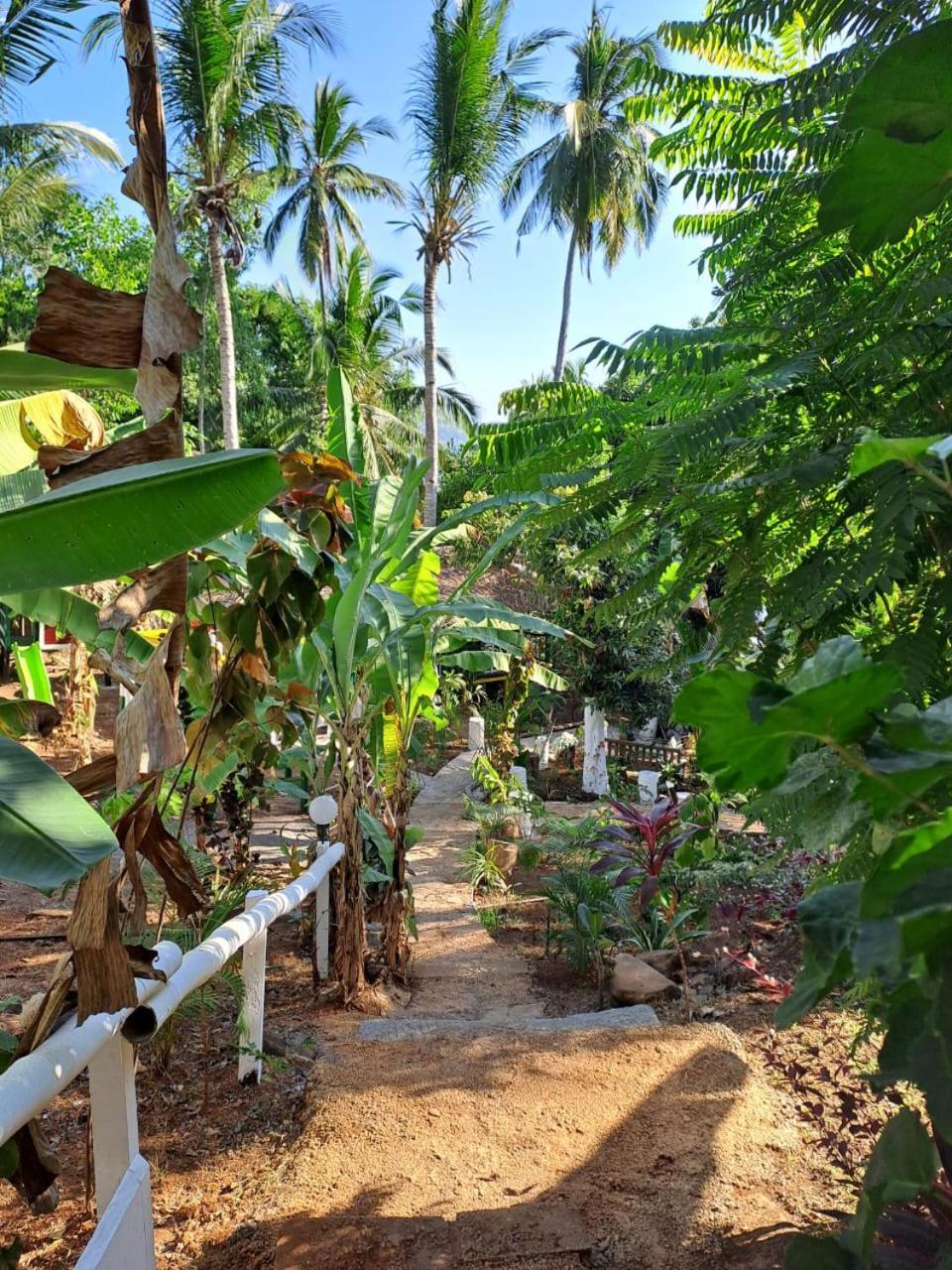 Le Chissioua Hotel Sada Luaran gambar